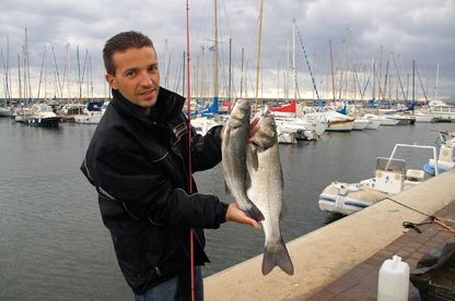 Spigola, non solo in Foce