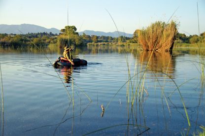 Swimbait, Nuota Pesciolino!