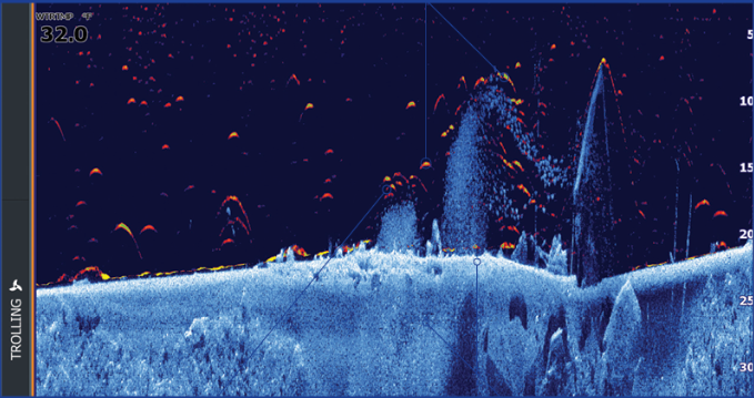 Sonar Lowrance